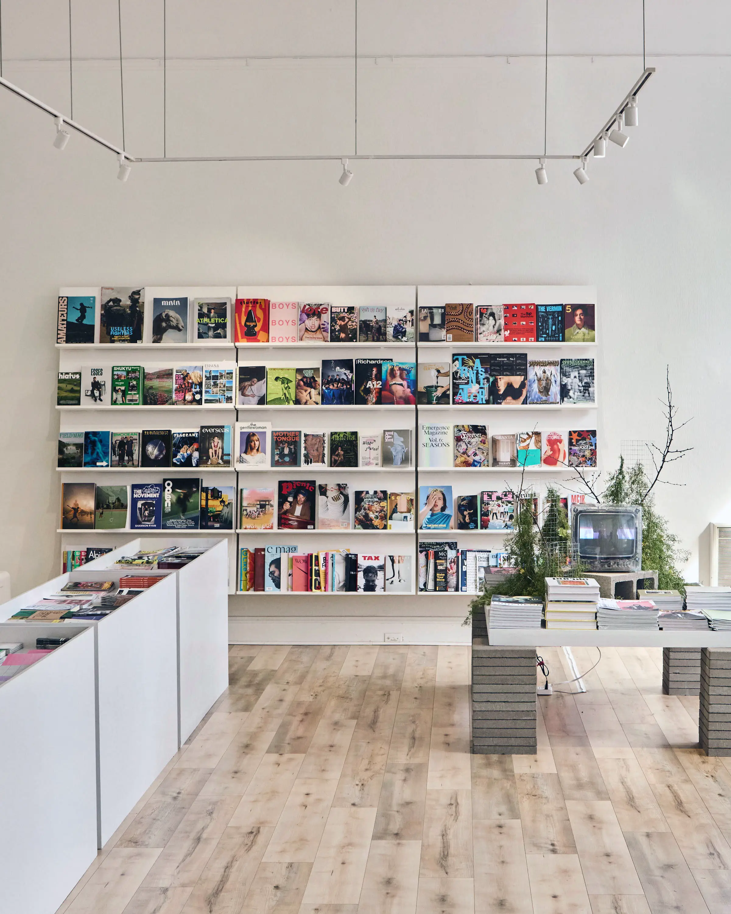 Gallery photo