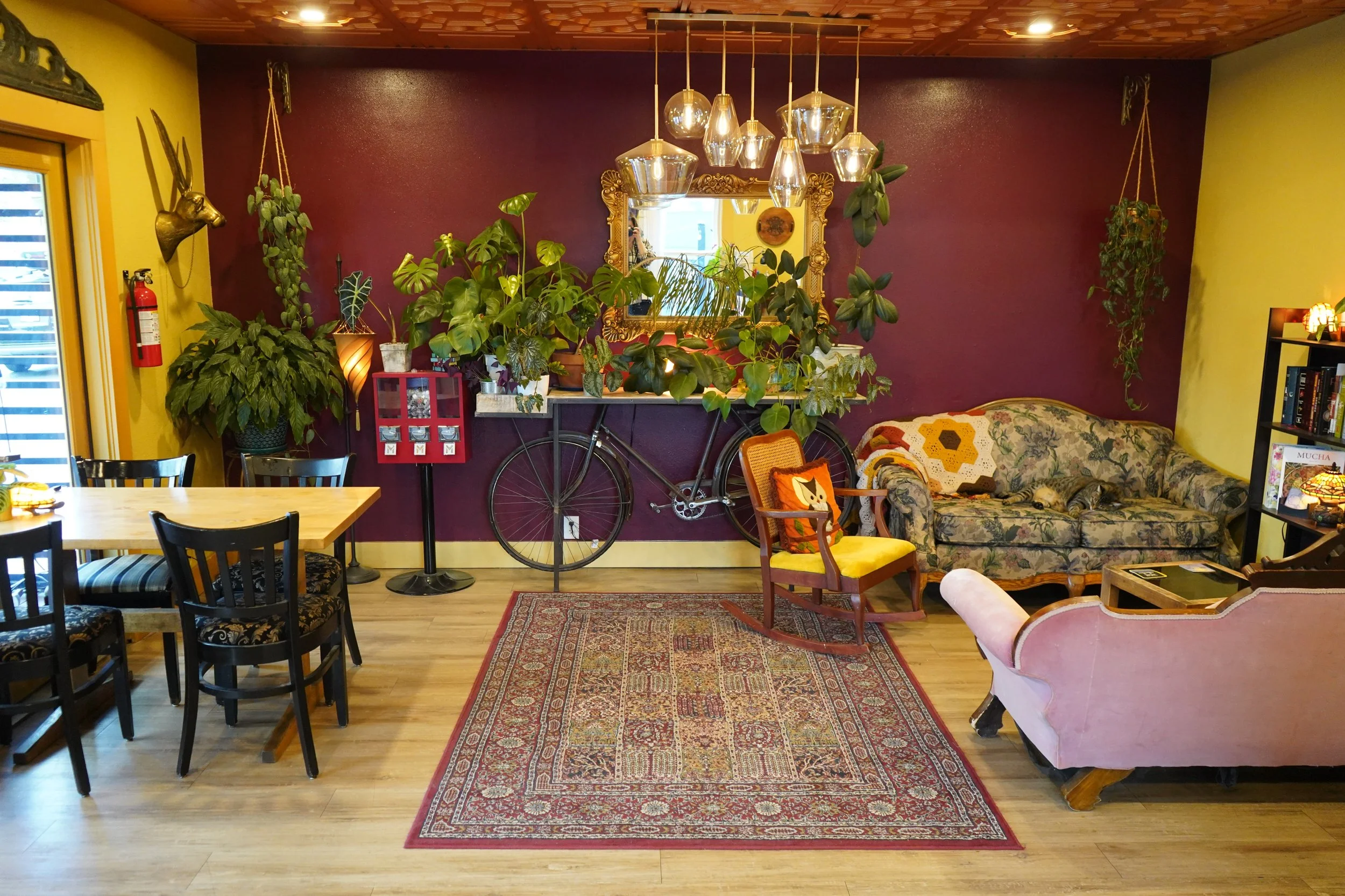 Gallery photo